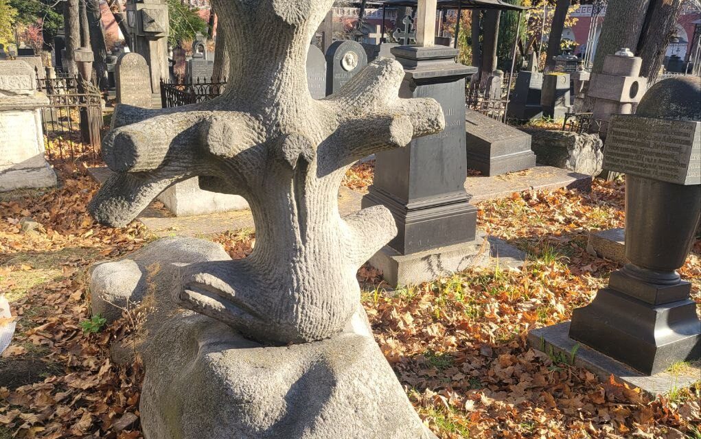 Каждый аборт – это обрубок на теле рода… В некрополе Донского монастыря есть примечательный…