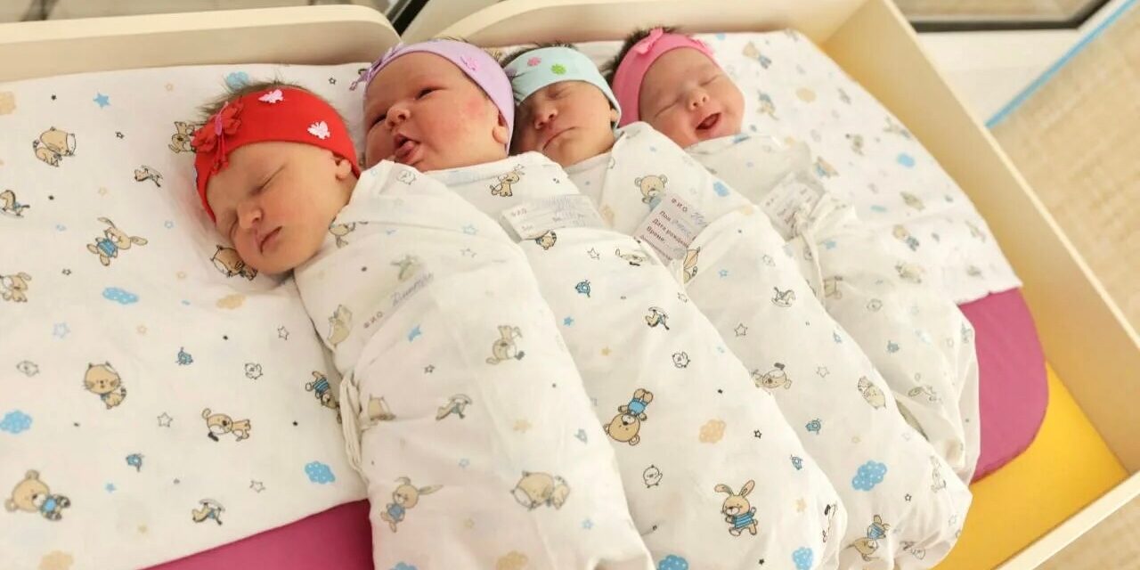 Из интервью с доктором биологических наук Владимиром ГОЛИЧЕНКОВЫМ, профессором кафедры эмбриологии биофака…